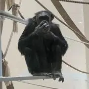 断捨離中