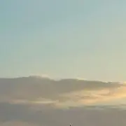 ふわわの画像