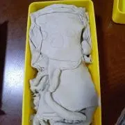 ペッポコピーの画像