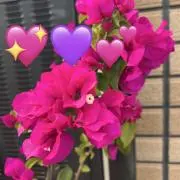 キラキラヒロ☆プロフィール確認くださいの画像