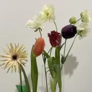 月の画像