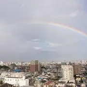 ター