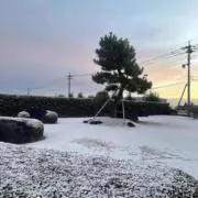 小林 幸希♥️