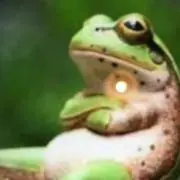 前髪聖剣かんく