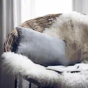 fusの画像