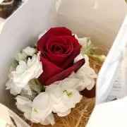 ぞーの画像