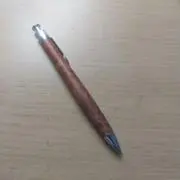 さぼてん