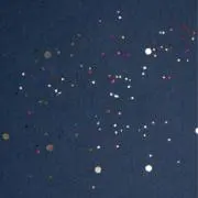 夜星の画像
