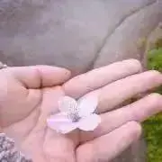 さにぷれの画像