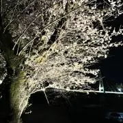 ま1523の画像