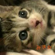 みき☆