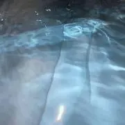 ⭐︎の画像