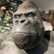 RinOManAの画像