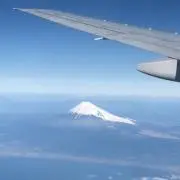ながちゃんの画像