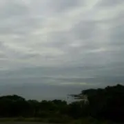 m ry