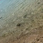sosukeの画像