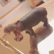 Poothyの画像