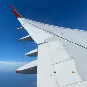 Sの画像
