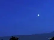 たろの画像