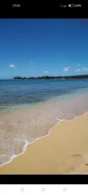 みかんの画像
