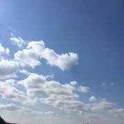 コン