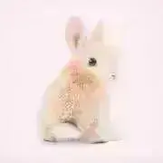 miの画像