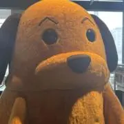 くま