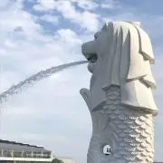 F⚠️ほぼアプリ見れませんの画像
