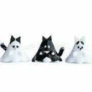 てんかふ　(個人ボラで保護猫活動中)