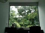 ヤングマン