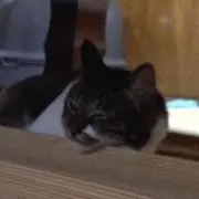 ー。ーの画像