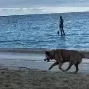 青笑の画像