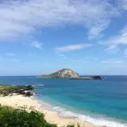 ソノマの画像