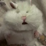 プロフ必読♥️の画像