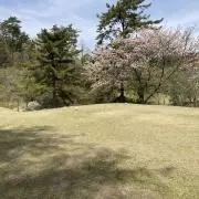 1222の画像