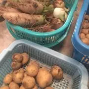 ぽすもすの画像