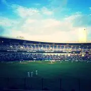 りょこ
