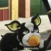 しばぁ〜の画像
