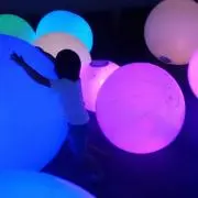 ぷぅの画像