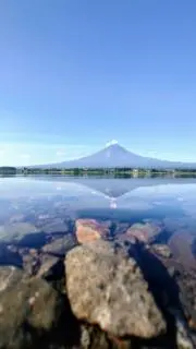 埼玉県民