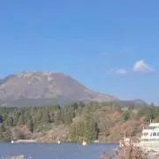 くるみの画像
