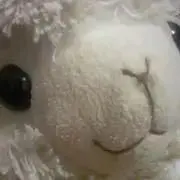 AlpacassoCafe꒰ ¨̮͚ ꒱