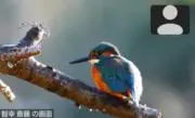 ナル☆の画像