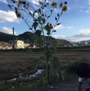 k&kの画像