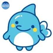 いるかっちの画像