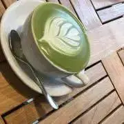 きょんの画像