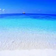 アリィ