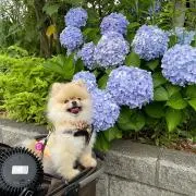 優月の画像