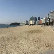 yamaの画像