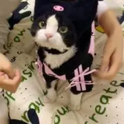 Sweet.nanaの画像